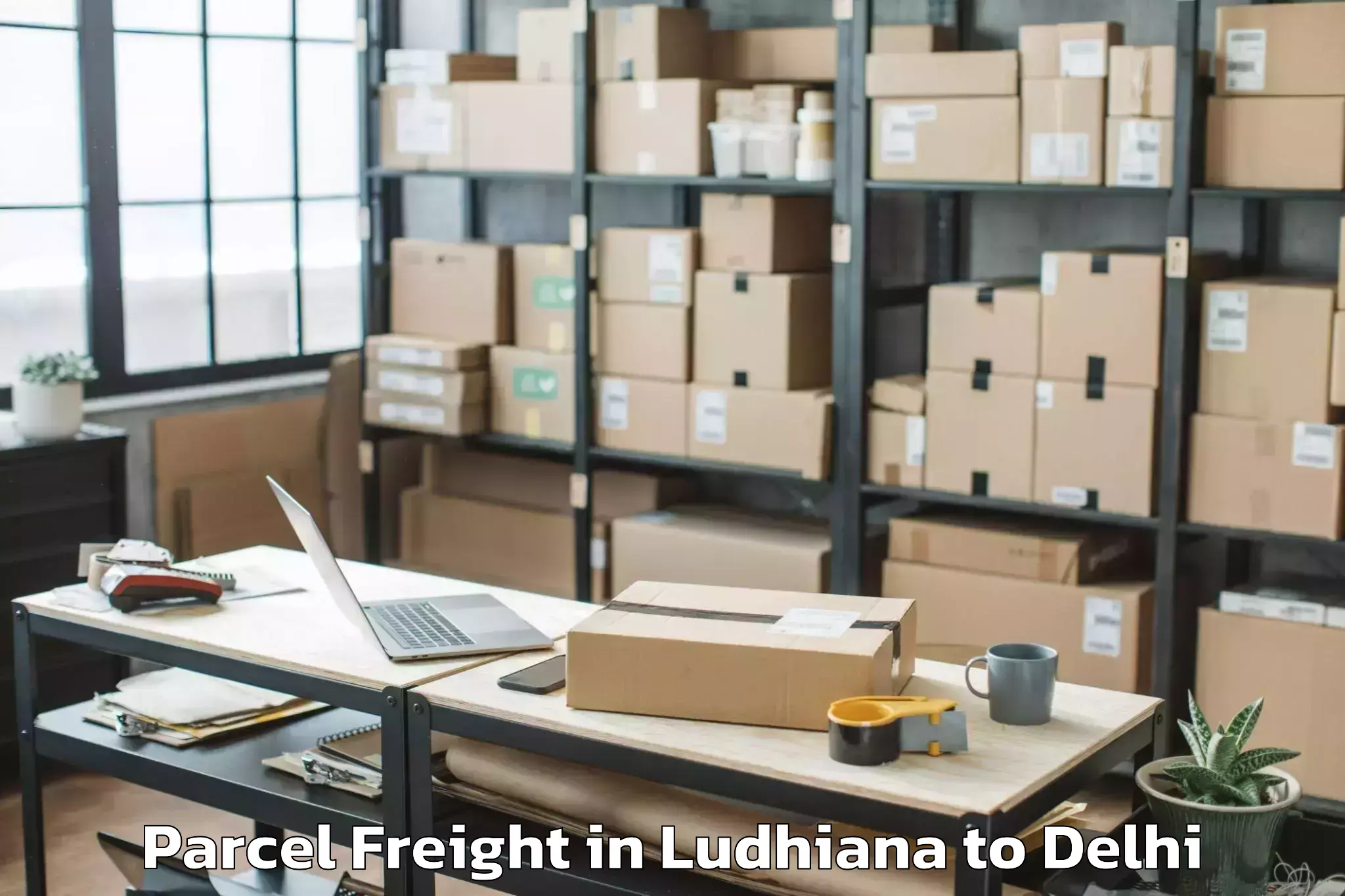 Trusted Ludhiana to Rajouri Garden Parcel Freight